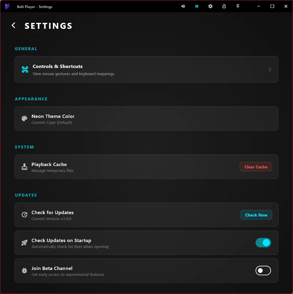 Bolt Player settings interface