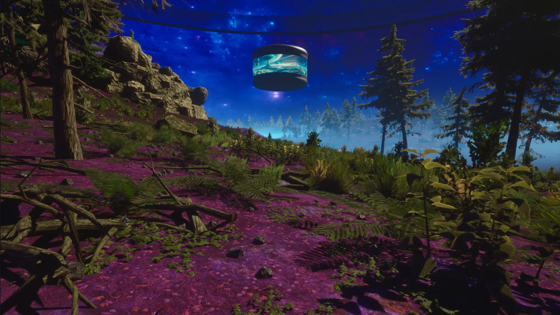 HoloEco environment view